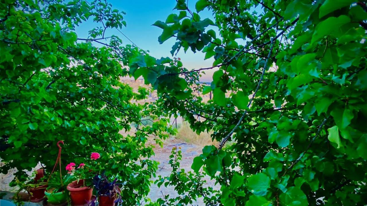 Jerash Canopy Gerasa Exterior foto